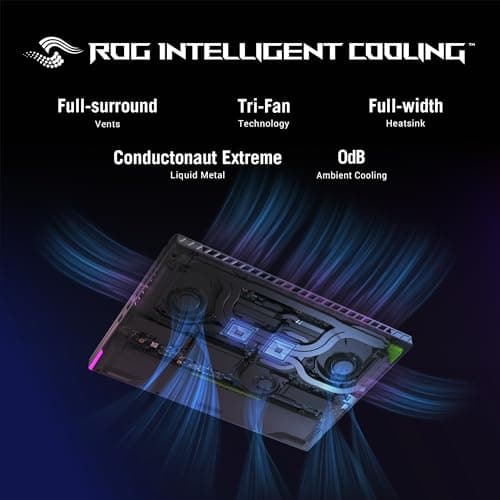 View 4